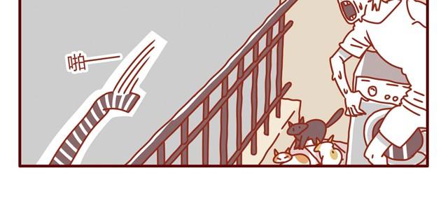 《人形喵的养成》第3话 我的猫哪去了？ 第23页