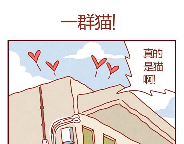 《人形喵的养成》第3话 我的猫哪去了？ 第9页