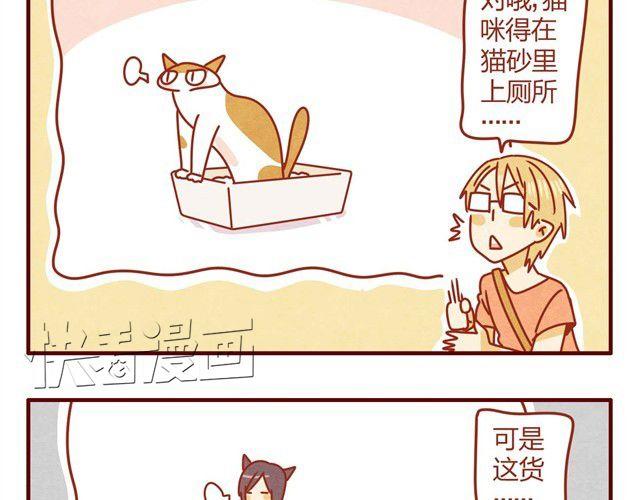 《人形喵的养成》第5话 猫咪与猫砂 第18页