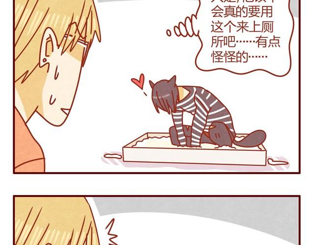 《人形喵的养成》第5话 猫咪与猫砂 第24页