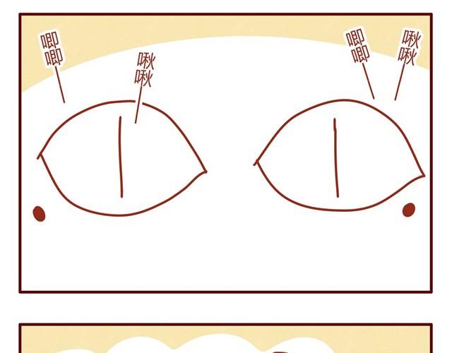 《人形喵的养成》第7话 果然，猫对这玩意没有抵抗力 第13页