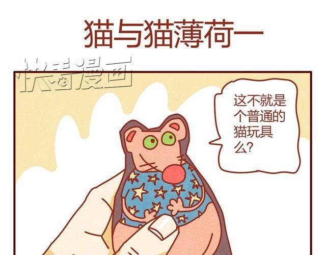 《人形喵的养成》第7话 果然，猫对这玩意没有抵抗力 第19页