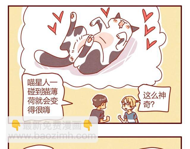 《人形喵的养成》第7话 果然，猫对这玩意没有抵抗力 第21页