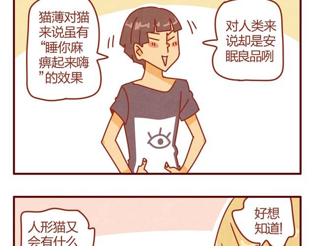 《人形喵的养成》第7话 果然，猫对这玩意没有抵抗力 第22页