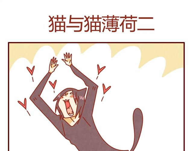 《人形喵的养成》第7话 果然，猫对这玩意没有抵抗力 第27页