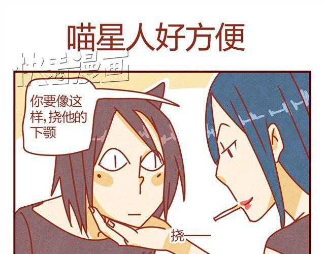 《人形喵的养成》第7话 果然，猫对这玩意没有抵抗力 第5页