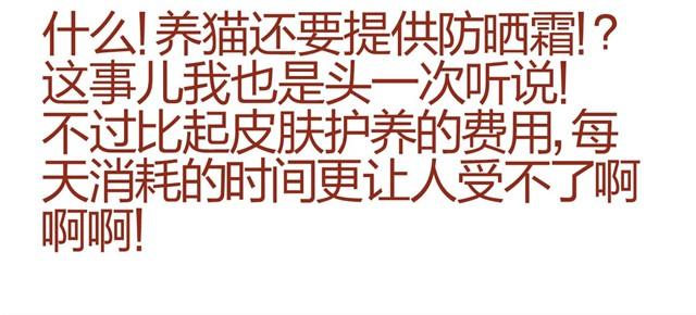 《人形喵的养成》第9话 给人形喵涂防晒太艰难了 第4页