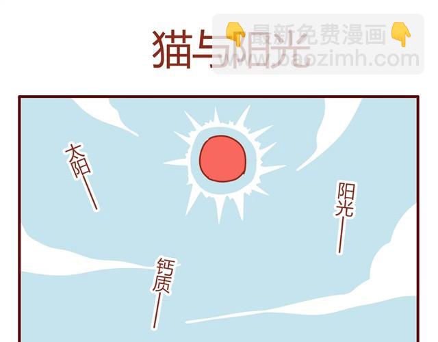 《人形喵的养成》第8话 最喜欢晒太阳了喵 第13页