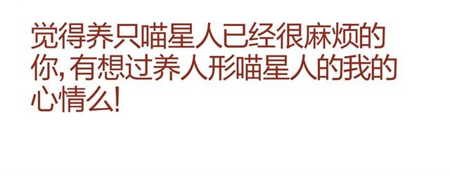 《人形喵的养成》第6话 人形了不起啊！ 第3页