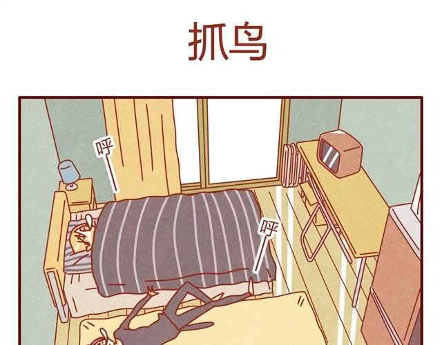 《人形喵的养成》第7话 果然，猫对这玩意没有抵抗力 第11页