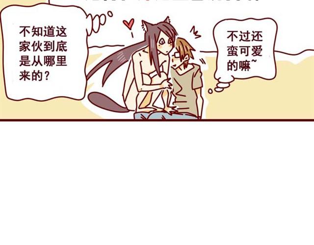 《人形喵的养成》第7话 果然，猫对这玩意没有抵抗力 第35页