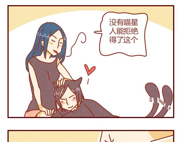 《人形喵的养成》第7话 果然，猫对这玩意没有抵抗力 第7页