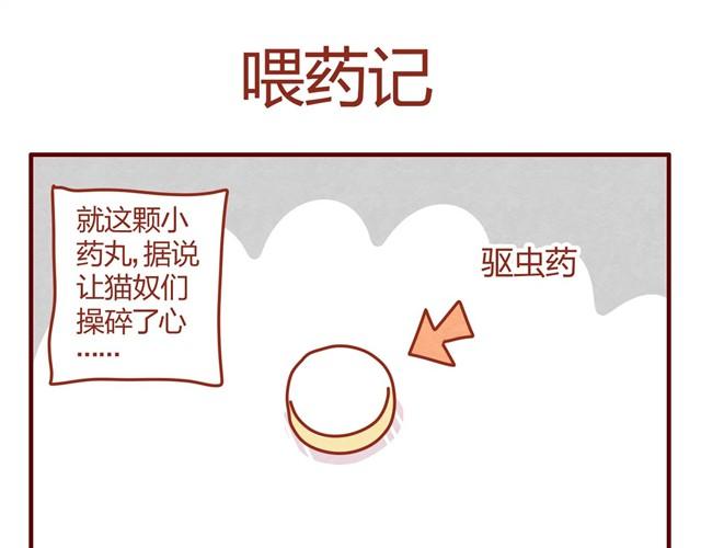 《人形喵的养成》第9话 给人形喵涂防晒太艰难了 第27页
