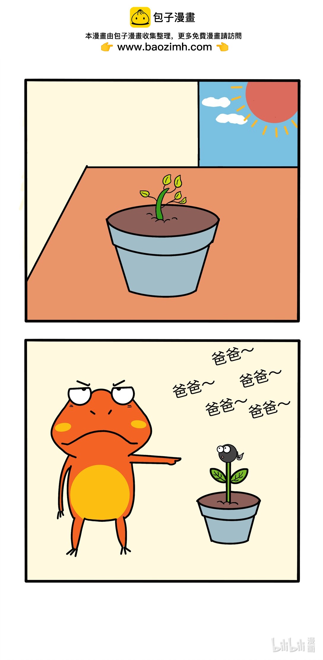 《番茄蛙阿聪的日常》04 种盆栽 第2页
