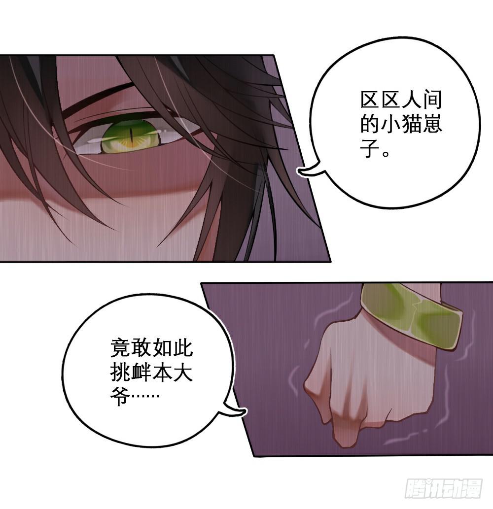 《神兽的饲养方式》琉璃禁制 第12页