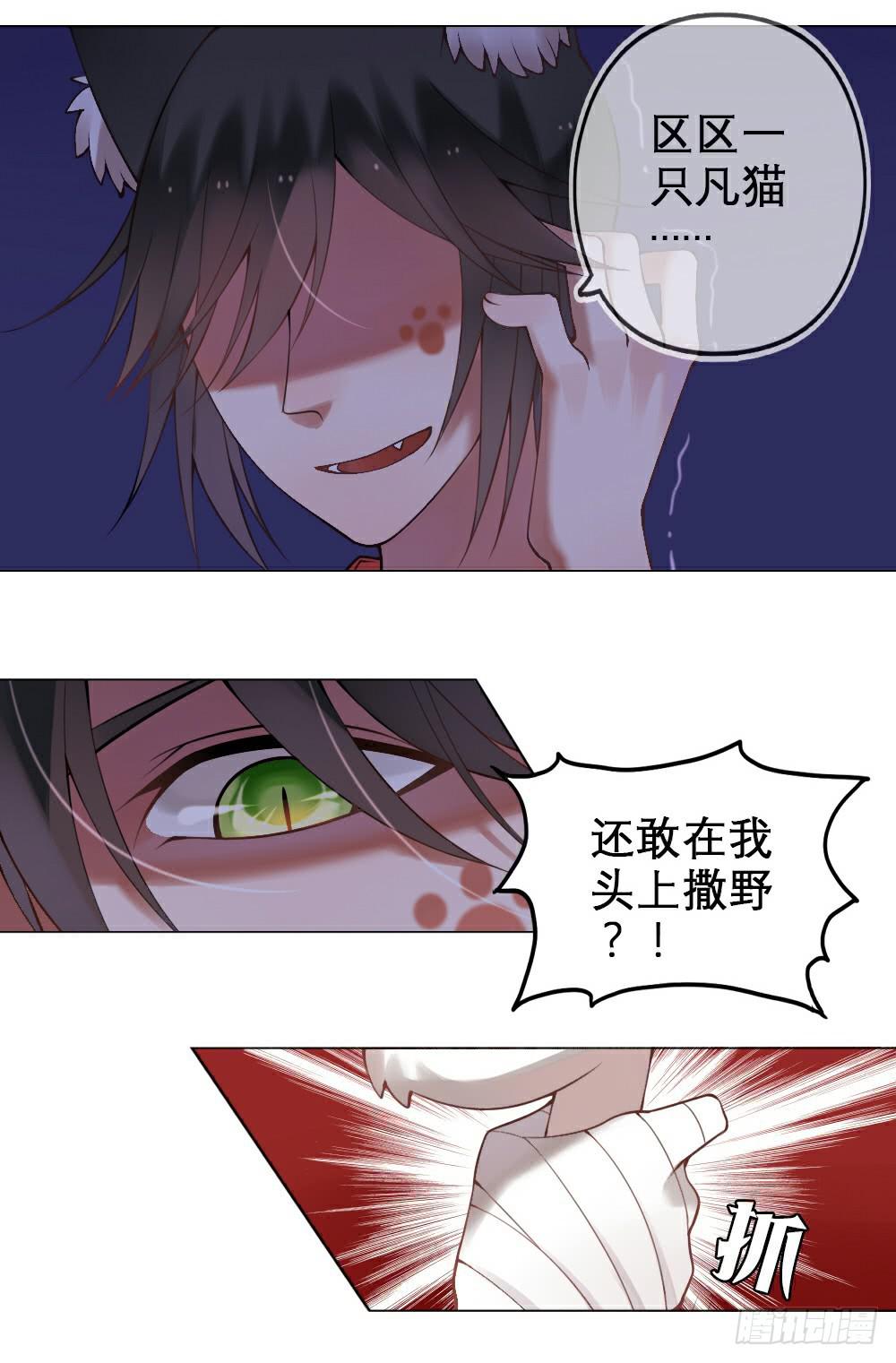 《神兽的饲养方式》琉璃禁制 第5页