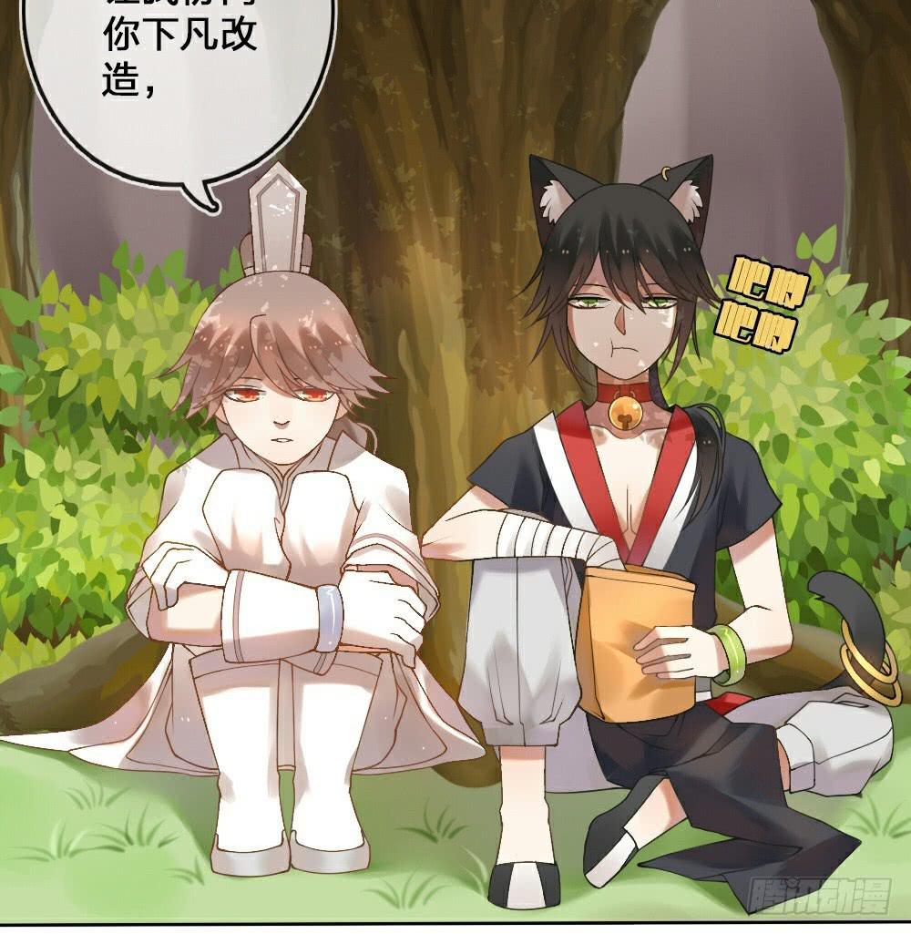 《神兽的饲养方式》黑猫白猫 第18页