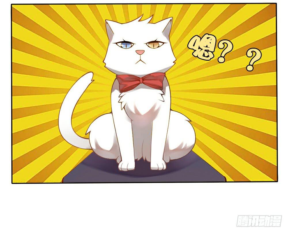《神兽的饲养方式》黑猫白猫 第23页