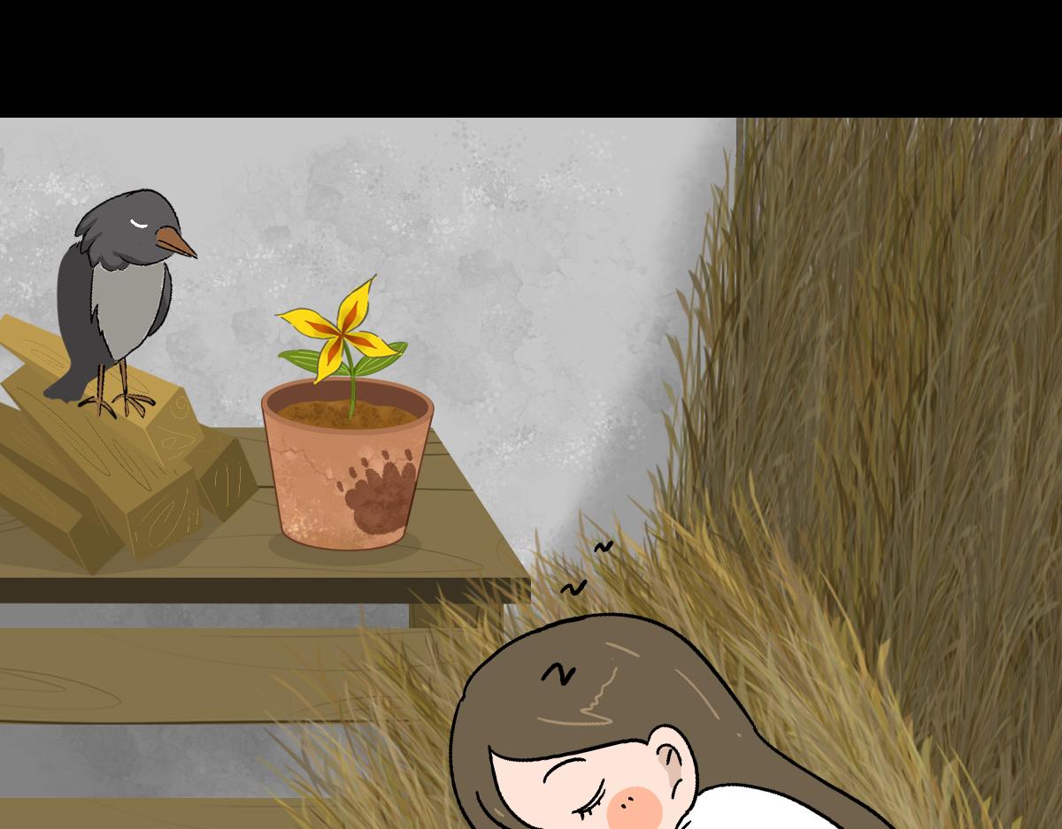 《悠然见黄花》都是幻觉 第26页
