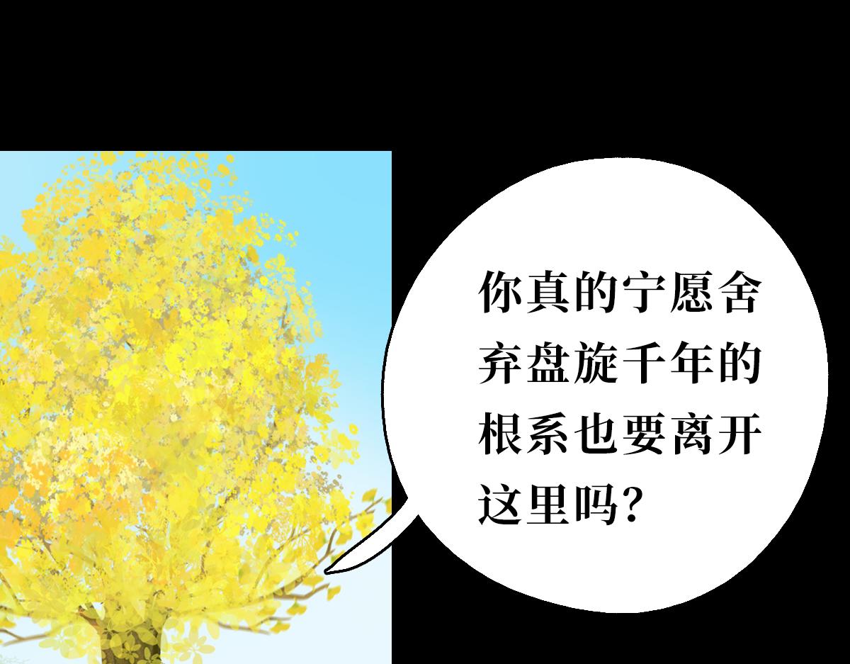 《悠然见黄花》真的不能带上我吗 第4页