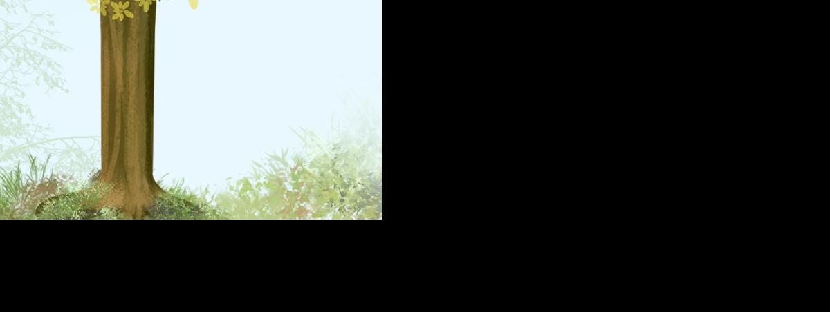 《悠然见黄花》真的不能带上我吗 第5页