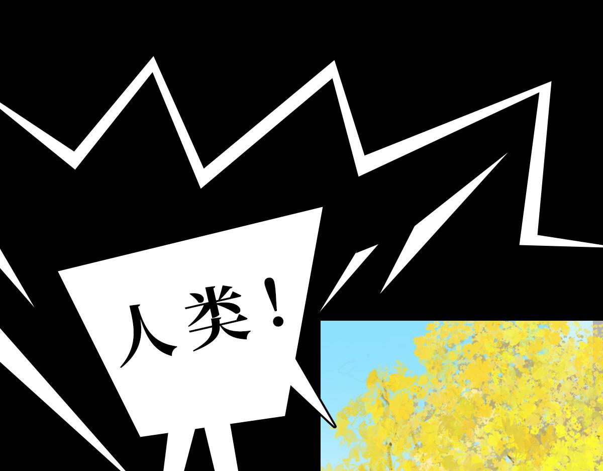 《悠然见黄花》带我离开 第11页