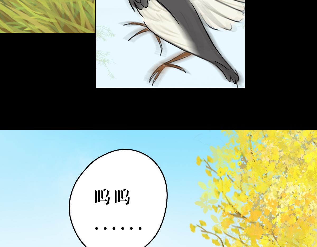 《悠然见黄花》带我离开 第13页
