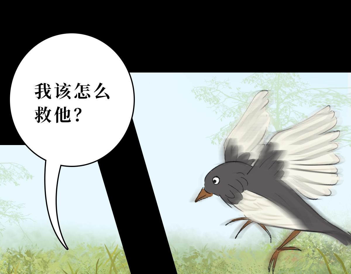 《悠然见黄花》带我离开 第26页