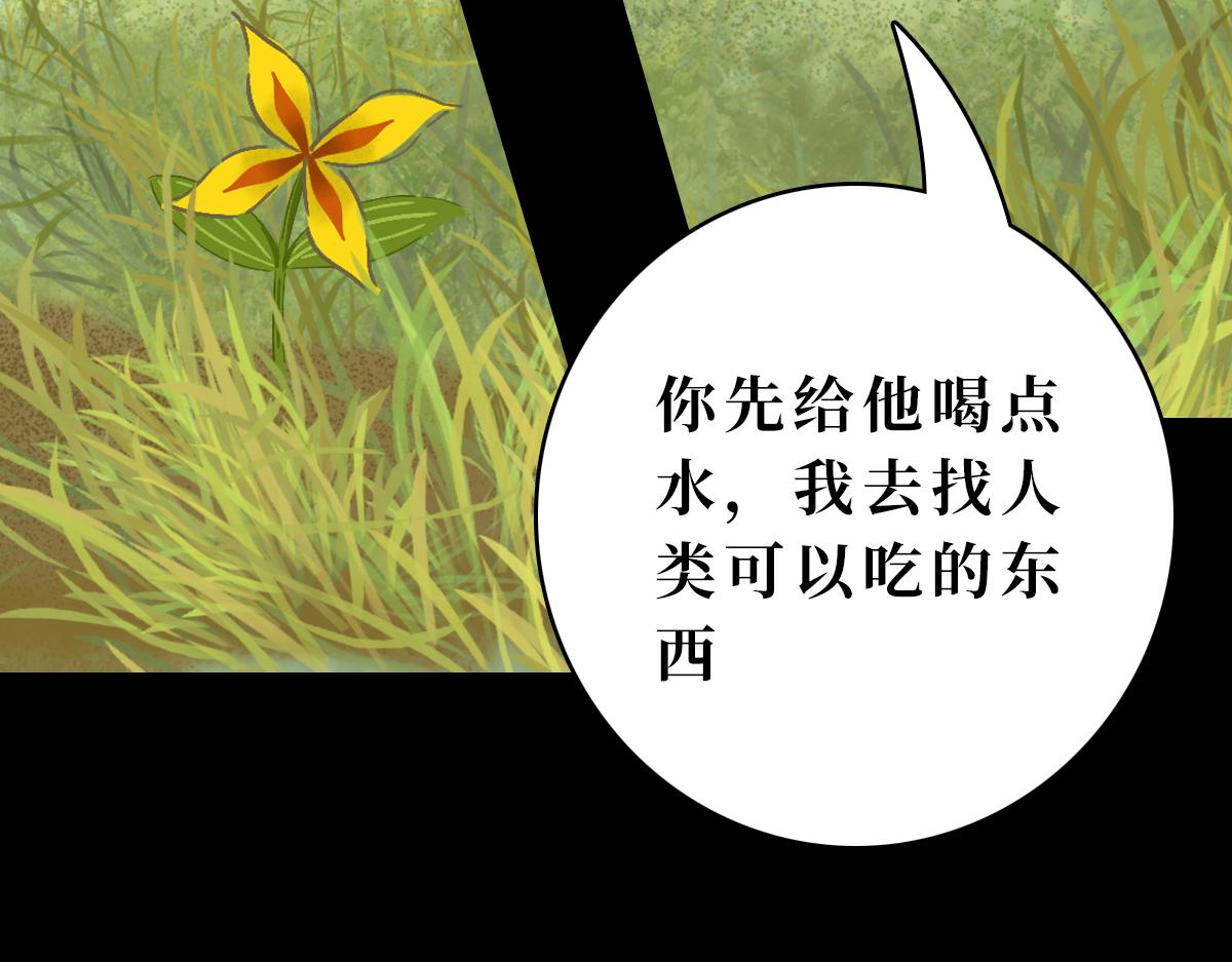 《悠然见黄花》带我离开 第27页