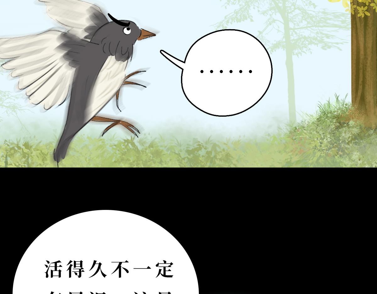 《悠然见黄花》带我离开 第8页