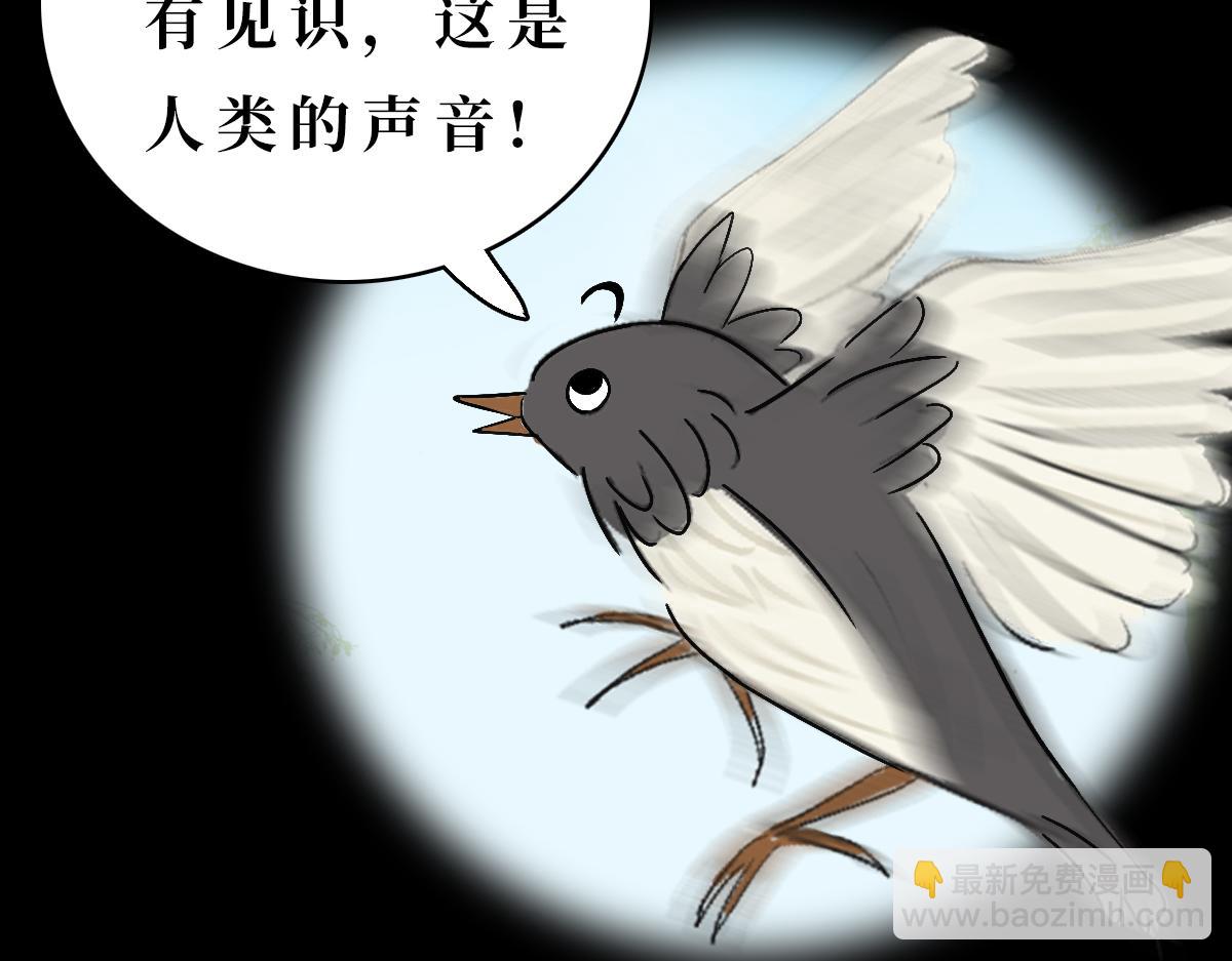 《悠然见黄花》带我离开 第9页