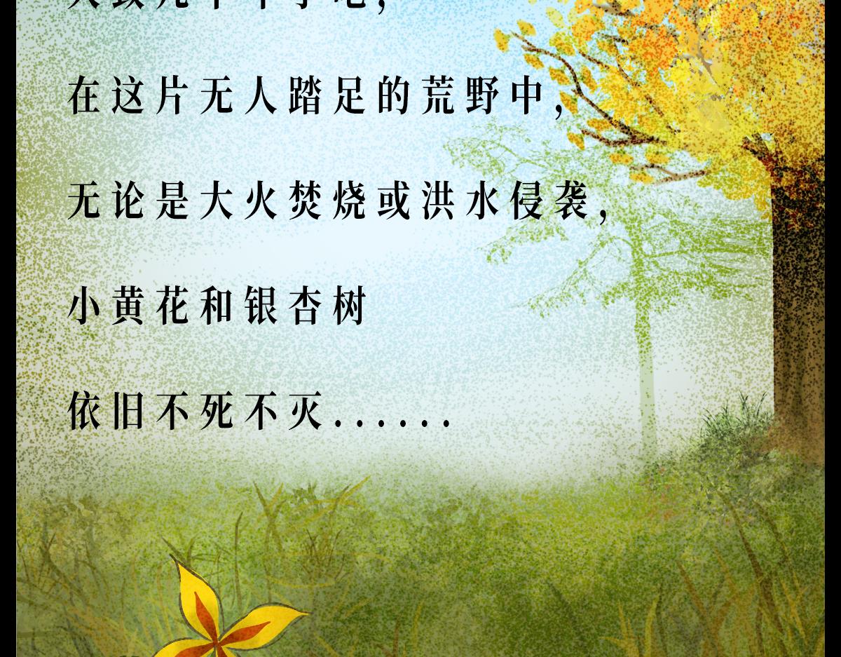 《悠然见黄花》外面的世界 第33页