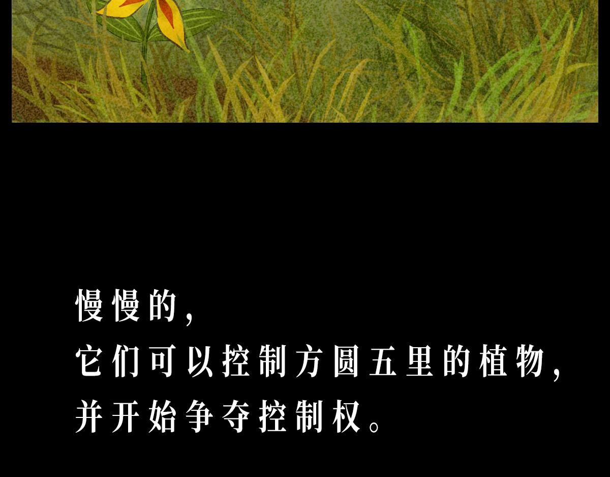 《悠然见黄花》外面的世界 第34页