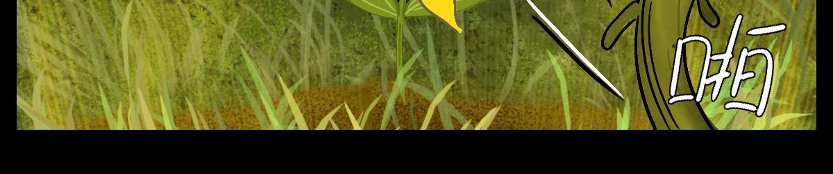 《悠然见黄花》外面的世界 第36页