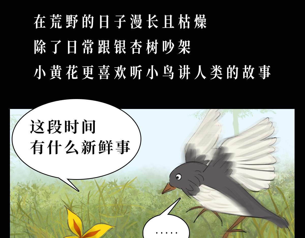 《悠然见黄花》外面的世界 第41页
