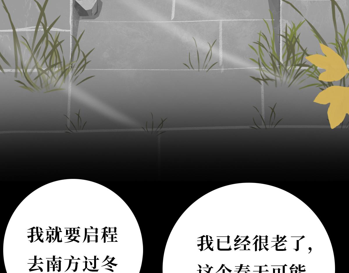 《悠然见黄花》回不来了 第33页