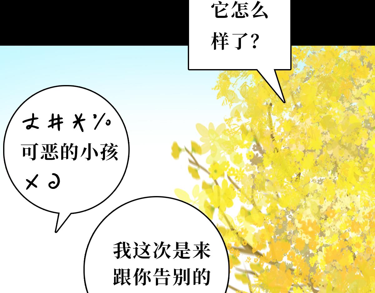 《悠然见黄花》回不来了 第38页