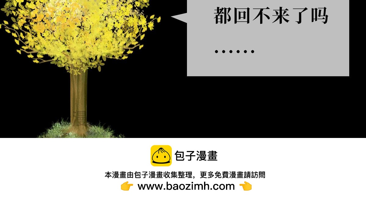 《悠然见黄花》回不来了 第40页