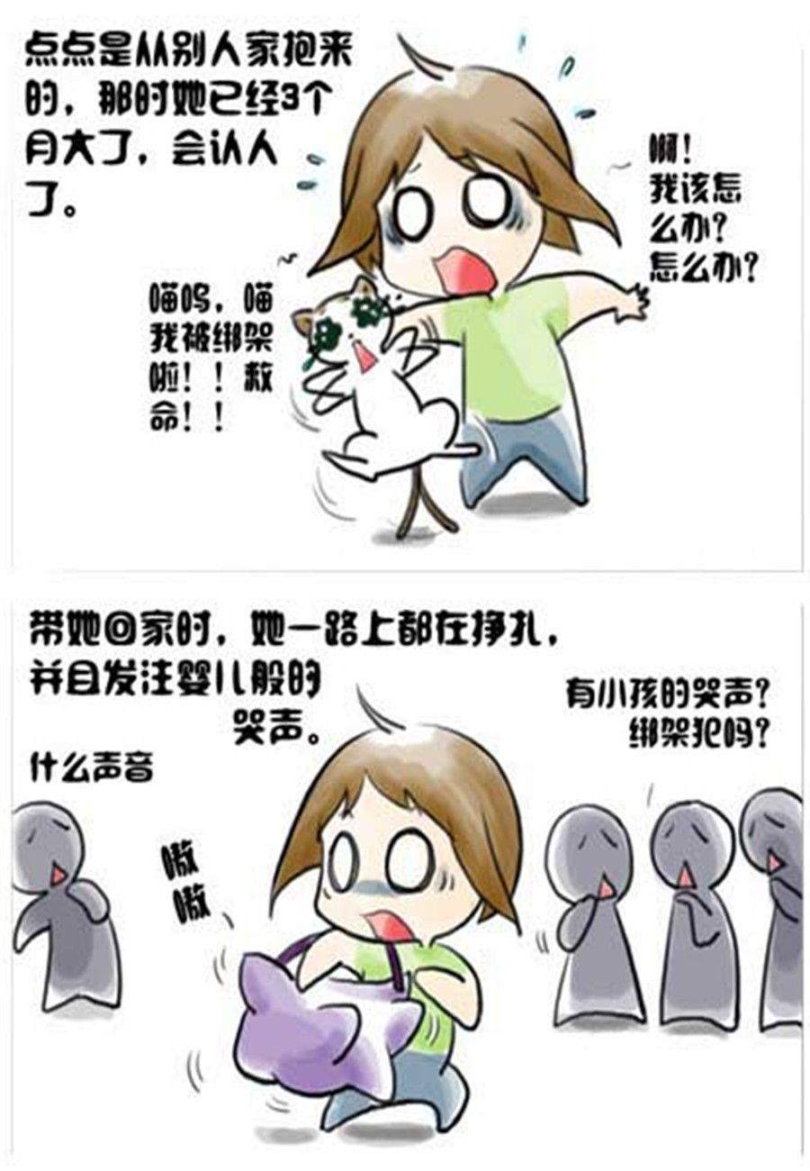 《喵喵家族》喵喵家族 第2集 第4页