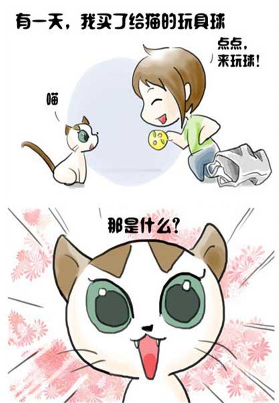 《喵喵家族》喵喵家族 第4集 第2页
