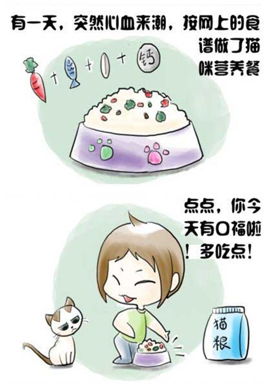 《喵喵家族》喵喵家族 第4集 第4页