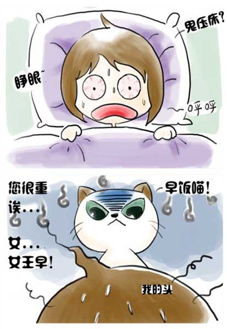 《喵喵家族》喵喵家族 第4集 第7页