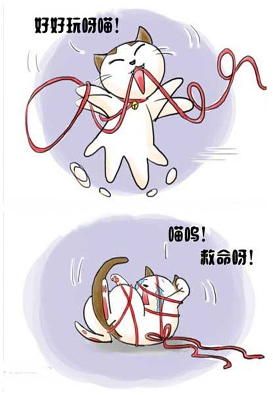 《喵喵家族》喵喵家族 第3集 第5页