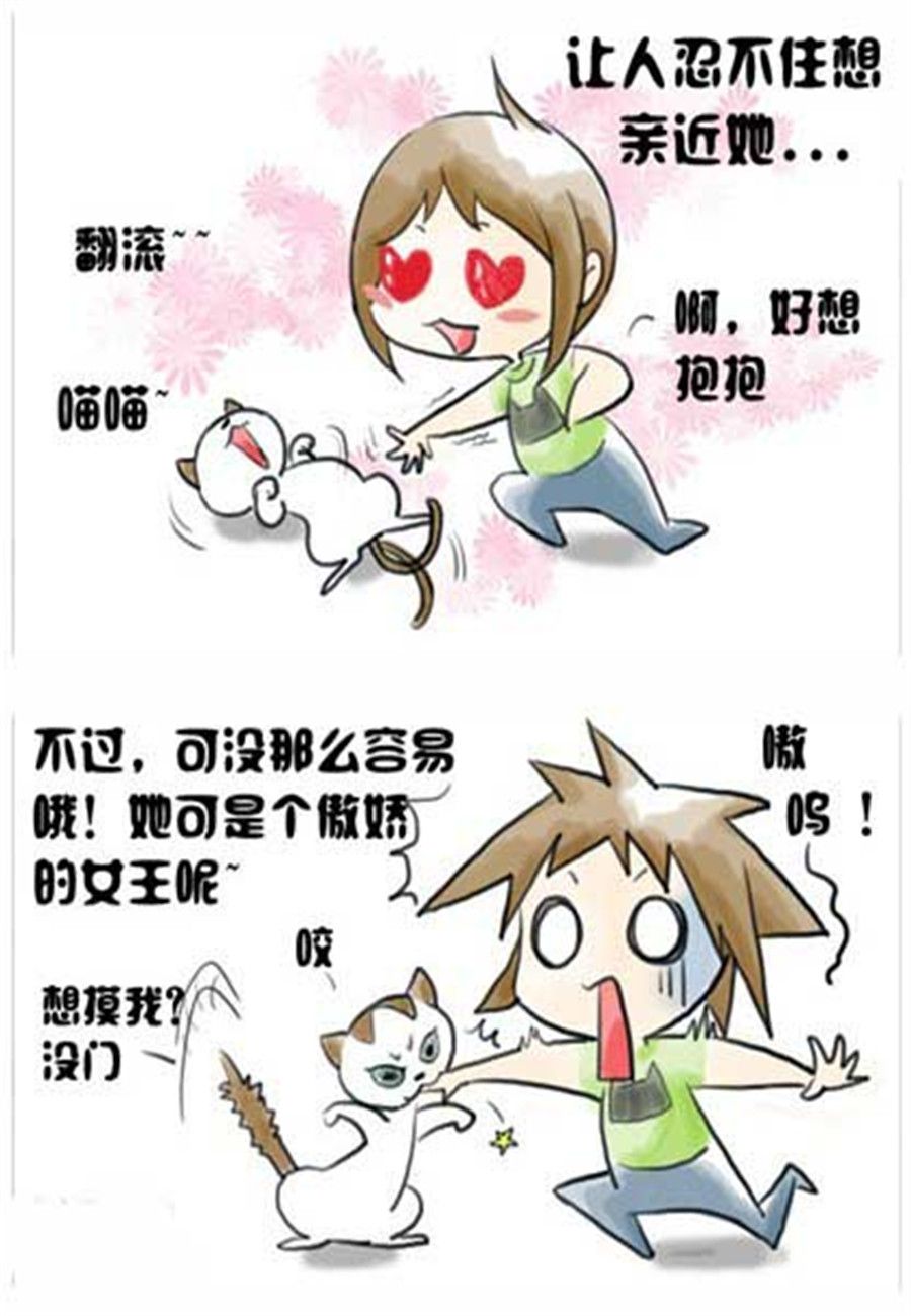 《喵喵家族》喵喵家族 第2集 第3页