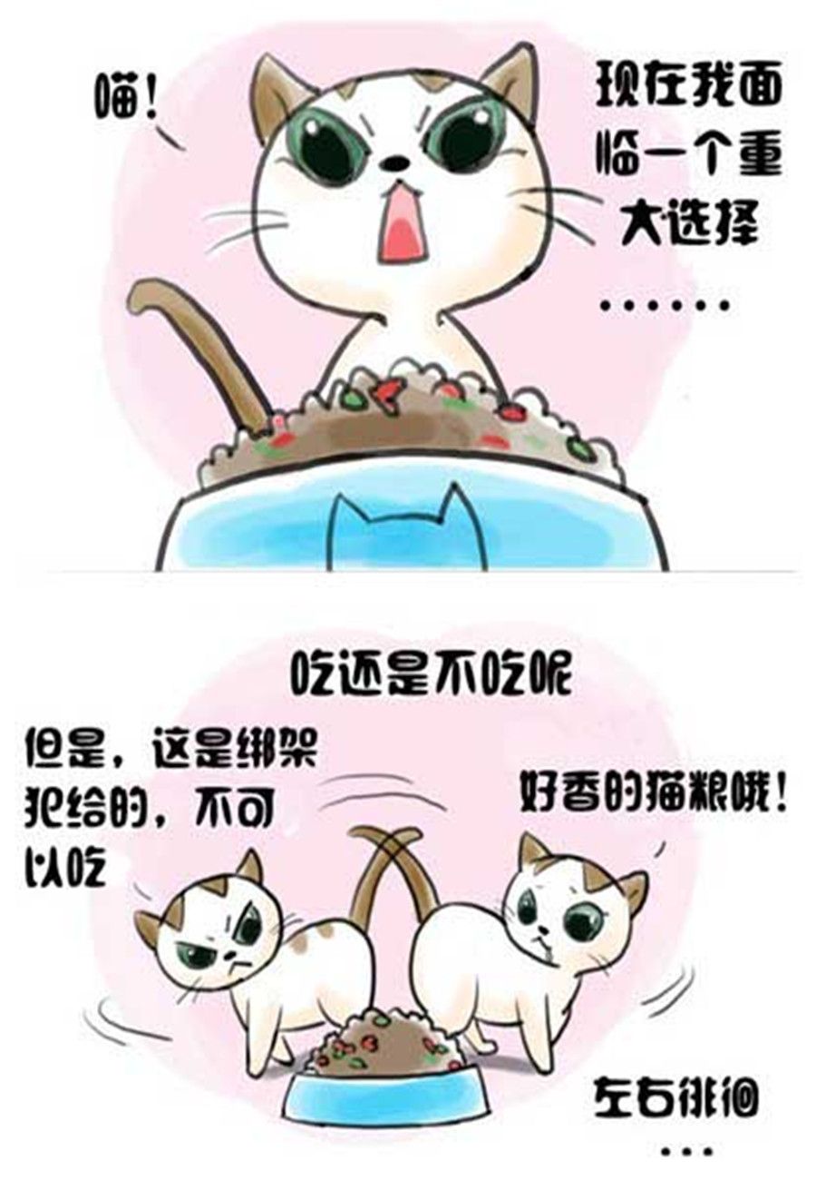 《喵喵家族》喵喵家族 第3集 第2页