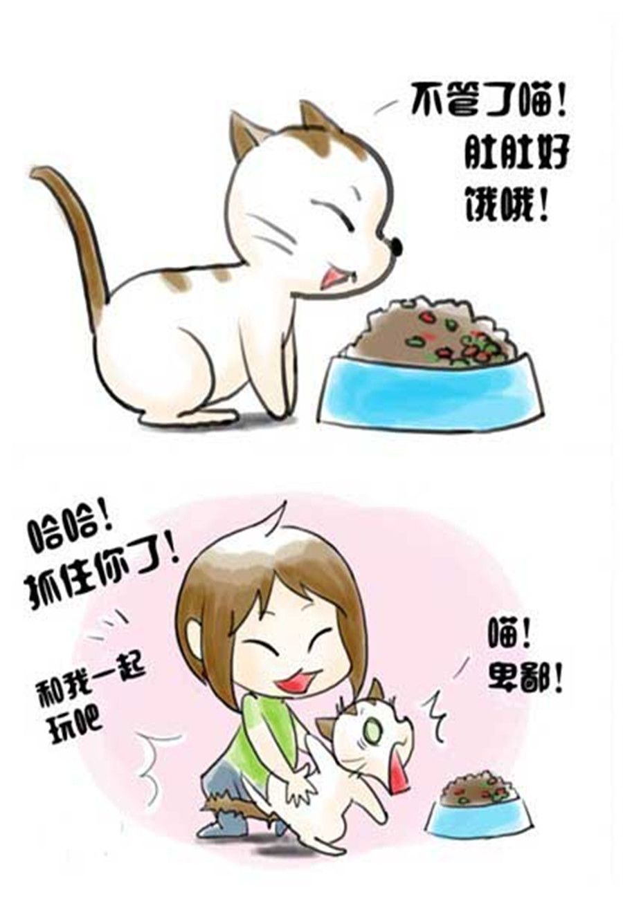 《喵喵家族》喵喵家族 第3集 第3页