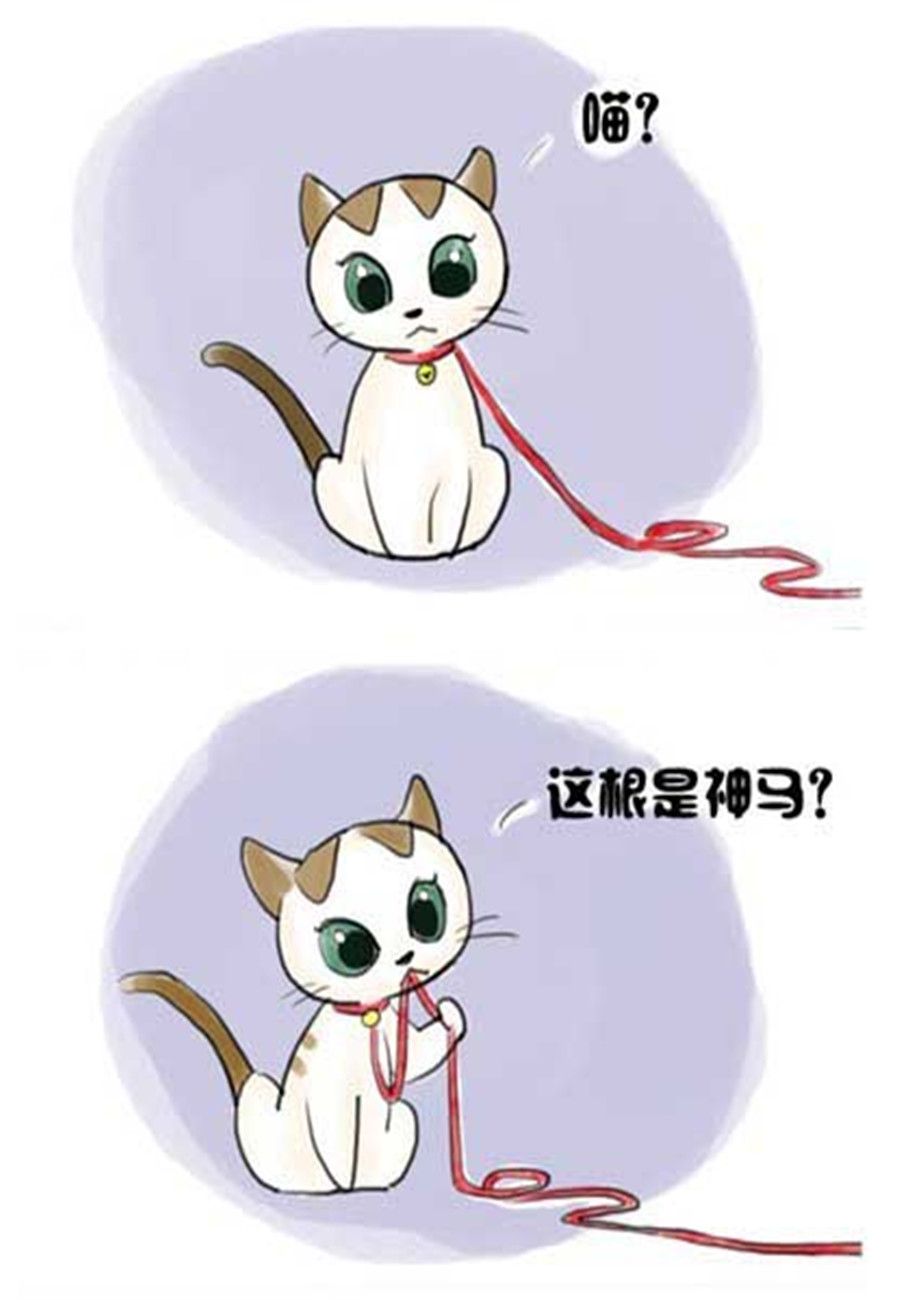《喵喵家族》喵喵家族 第3集 第4页