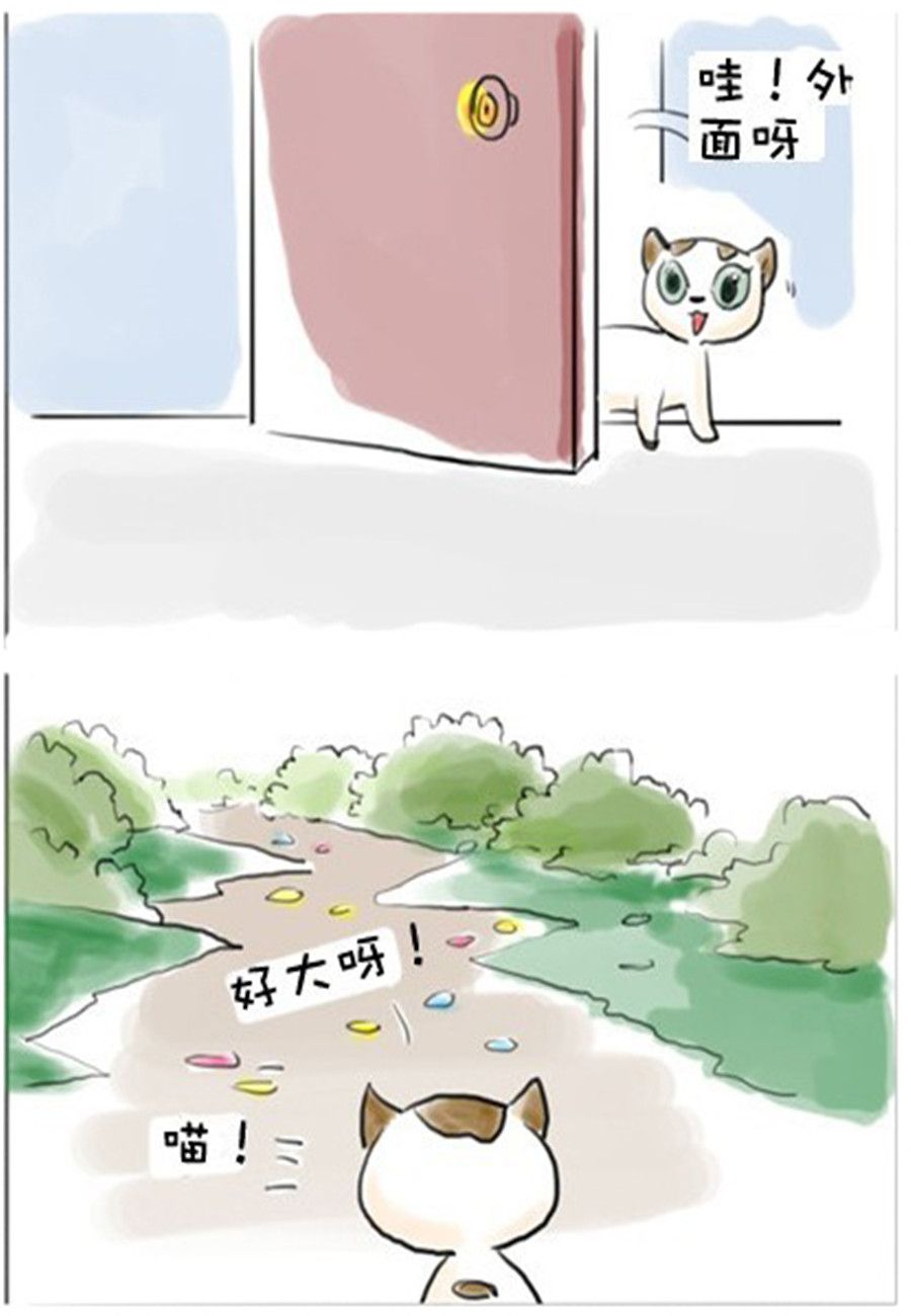 《喵喵家族》喵喵家族 第7集 第2页