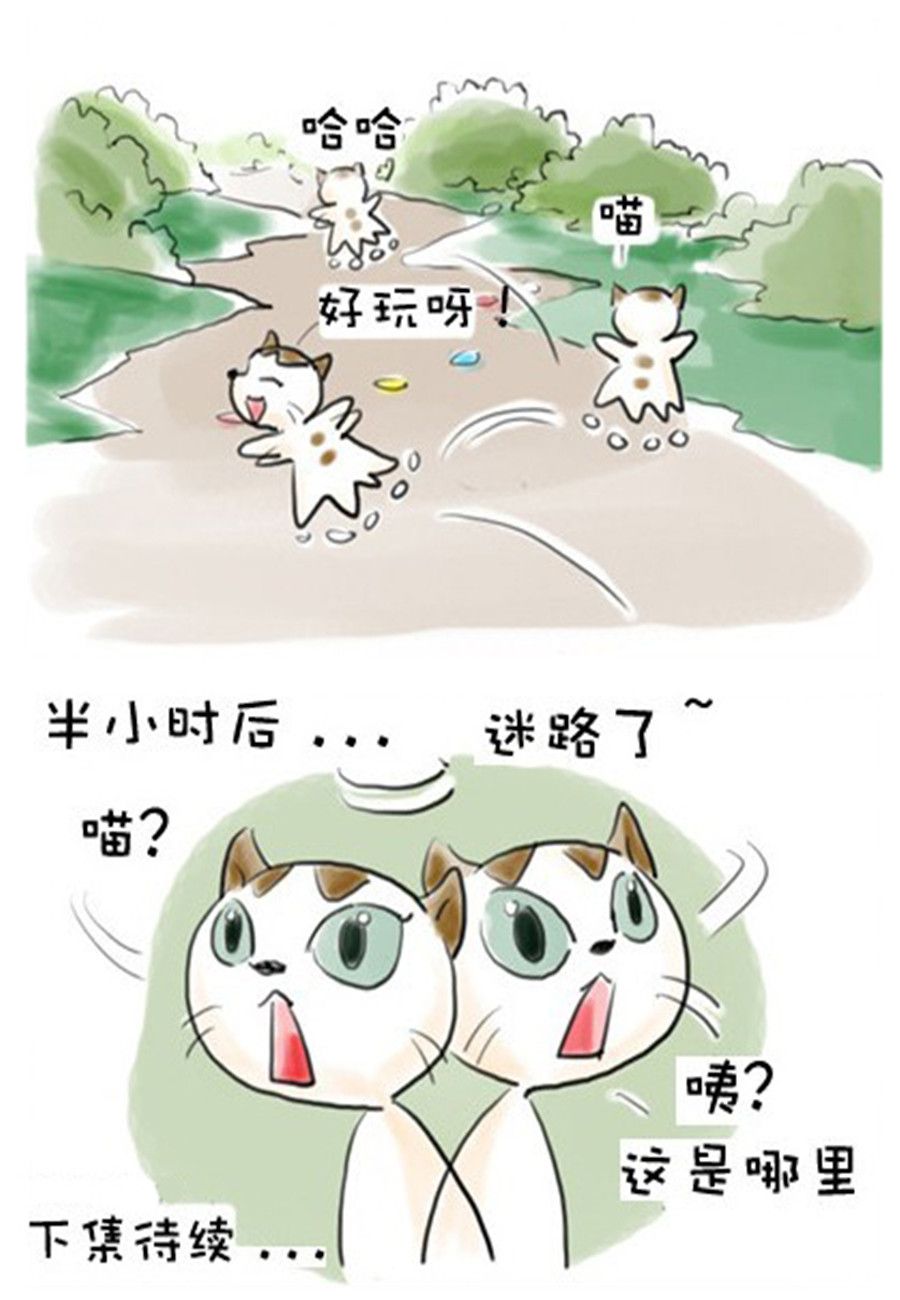 《喵喵家族》喵喵家族 第7集 第3页
