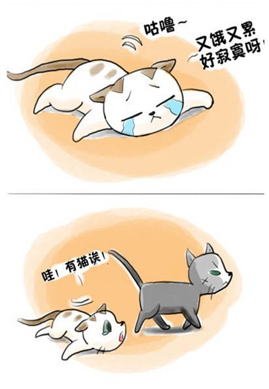 《喵喵家族》喵喵家族 第8集 第4页